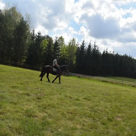 W Lesie * Tuczno (Walcz)