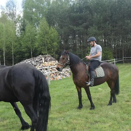 Гостевой дом W Lesie Tuczno (Walcz)